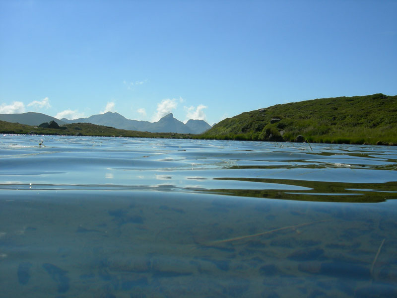 Laghi.......del TRENTINO